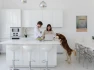 Flex Home Service